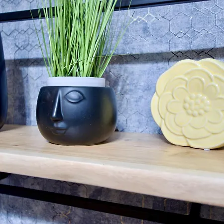 By Hi5- Rozsa Street